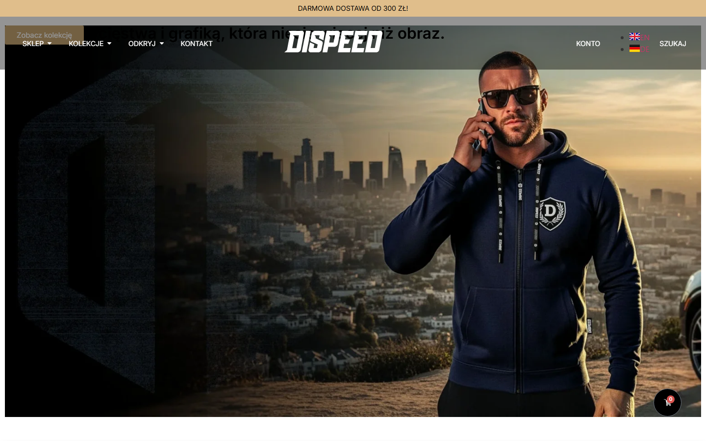 Dispeed Sp. z o.o. — realizacja Webs Butler